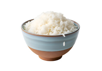 White rice in a light blue and brown ceramic bowl.