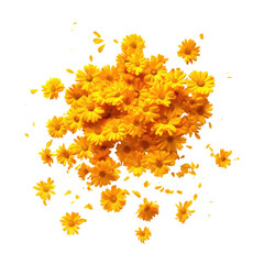 Yellow flowers exploding