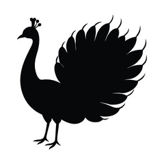 Black silhouette of a peacock with its tail feathers fanned out white bird