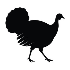 Black silhouette of a turkey with fanned tail feathers walking white bird