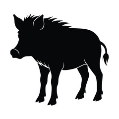 Black silhouette of a wild boar standing sideways on a white background animal wildlife