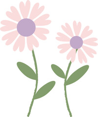 vector illustration of a daisy flower