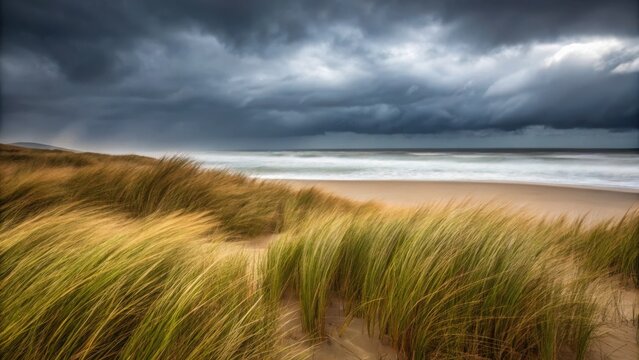 Dramatic stormy sky over a windswept beach with golden dune grass
