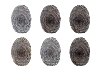 Set Fingerprint isolated on a transparent or white background