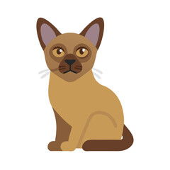 Fototapeta premium Simple cat illustration. Vector. burmese. cat.