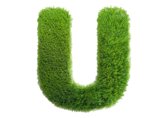 Grass font 3d rendering letter U isolated on a transparent or white background