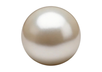 Shimmering white natural pearl. isolated on transparent or white background