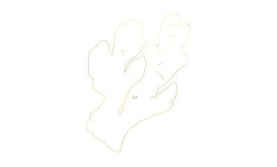 The Ginger shape for the use of Graphics