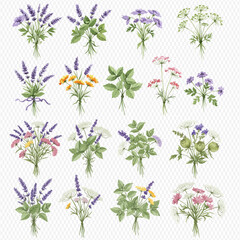 A collection of illustrated bouquets featuring lavender, mint, chamomile, and other medicinal herbs and wildflowers.