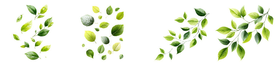 Fototapeta premium Green Leaf Collection: Watercolor Style, Natural Elements