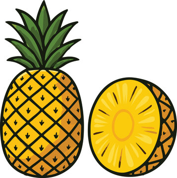 vector illustration of pineapple