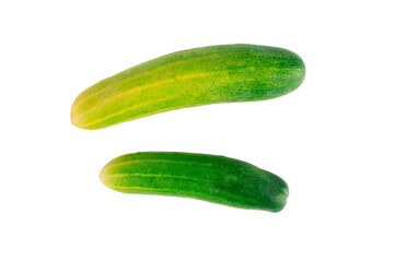 Fresh cucumbers on transparent background.