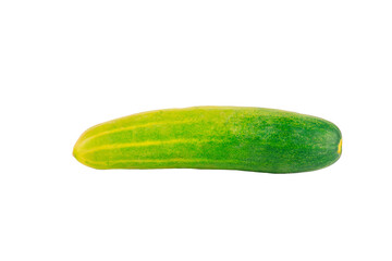 Fresh cucumbers on transparent background.
