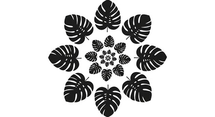 Fototapeta premium Symmetrical radial mandala of black Monstera leaf silhouettes in a spiral formation.