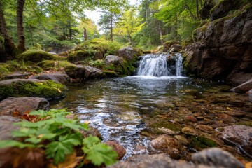 Obraz premium Peaceful Forest Stream with Gentle Waterfalls Surrounded by Lush Greenery and Mossy Rocks in a Tranquil Natural Landscape