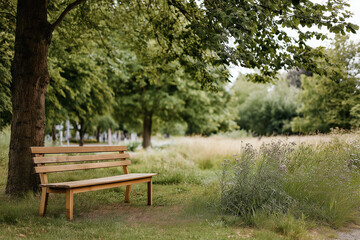 Fototapeta premium Peaceful Wooden Bench in a Lush Green Park