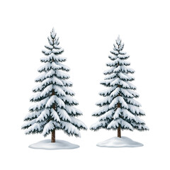 Obraz premium christmas tree isolated on white