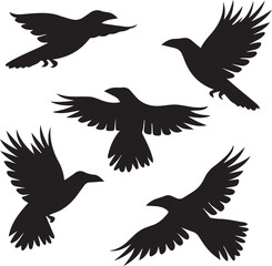 Fototapeta premium set of silhouettes of birds vector design, crow birds silhouette vector bundle