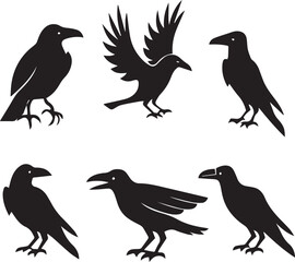 Fototapeta premium set of silhouettes of birds vector design, crow birds silhouette vector bundle