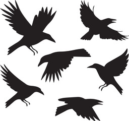 Obraz premium set of silhouettes of birds vector design, crow birds silhouette vector bundle