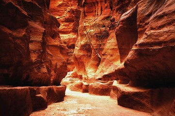 Ancient Petra – Historic Rock-Cut Architecture of Jordan for Travel and Cultural Use