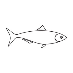 sardine fish line icon