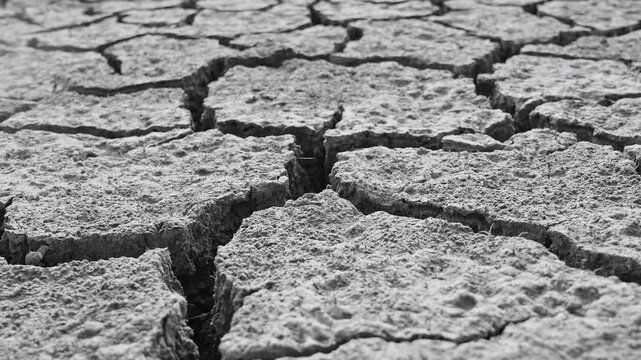 dry earth soil texture as backdrop,broken ground in barren land, 