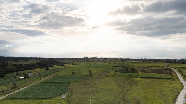 Drone view of green fields 