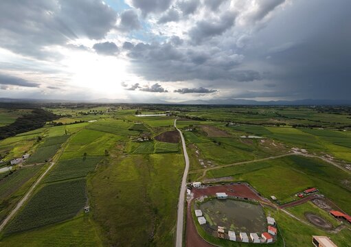 Aerial panoramic view of green fields at sunset - Powered by Adobe