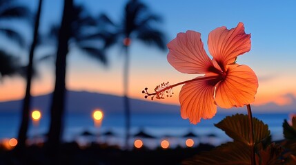 Sunset glow highlighting a vibrant hibiscus flower on a tropical beach.
