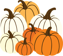 Assortment of Colorful Pumpkins for Autumn Decorations Pumpkin Vector Illustration for Fall Season Colorful Autumn Gourds Clipart with White, Orange, and Yellow Pumpkins
