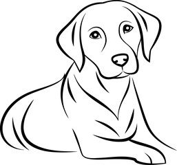 Fototapeta premium Line art drawing of a labrador retriever dog lying down silhouette