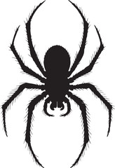 black spider silhouette isolated on white
