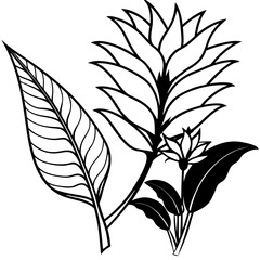 Stylized black and white line art illustration of tropical leaves and exotic flowers on a white background