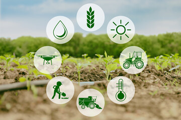 Icons and field on background. Concept of smart agriculture and modern technology