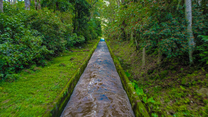 Tropical Water Canal in Dense Rainforest, Sustainable Infrastructure in Costa Rica