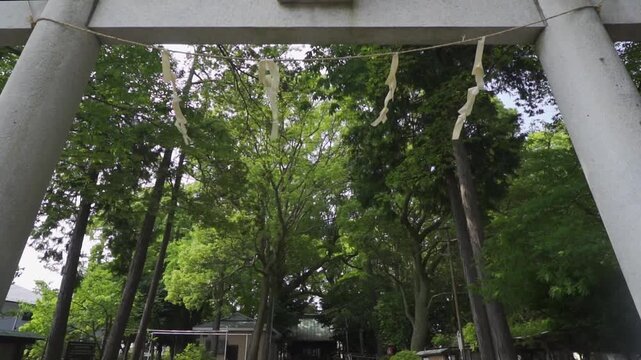 Torii Gate Framing the Main Hall of a Shrine with Swaying Shide in the Summer Breeze