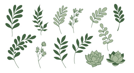 Wheat ears vector collection with natural plant elements and decorative design on white background