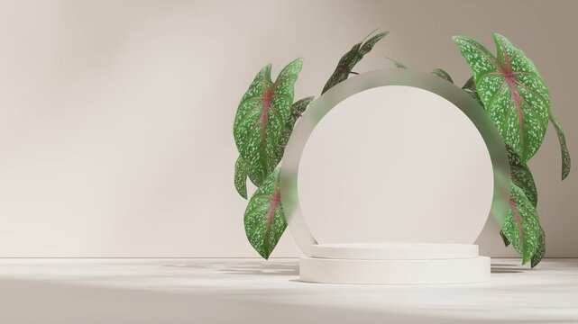 seamless loop shadow animation with pink green caladium background, 3d render footage blank mockup of white round podium