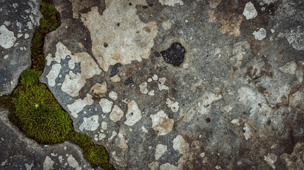 Obraz premium Weathered Stone Surface with Moss