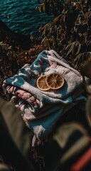 Tie-dye sweatshirt draped, dried orange slices atop, by water