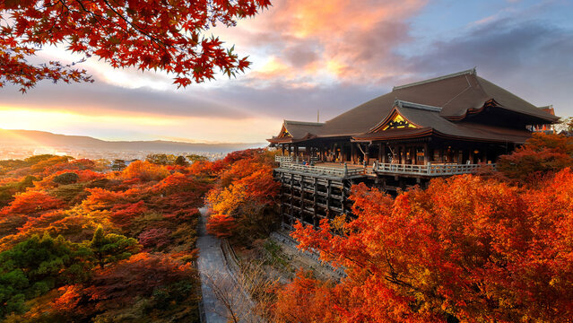 Scenic view of Kiyomizu-dera temple with beautiful foliage in autumn in Kyoto, Japan