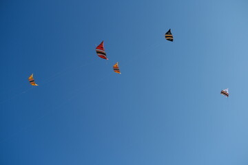 Colorful Kites Flying in Bright Blue Sky