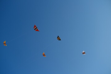 Colorful Kites Flying in Bright Blue Sky