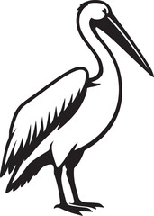 Pelican bird illustration black and white, Stylized wildlife vector for decor