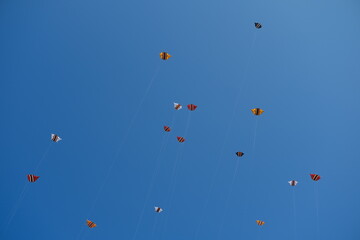 Colorful Kites Flying in Bright Blue Sky