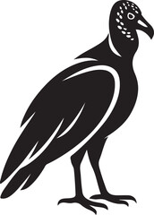 Vulture silhouette standing on white background bird, Black vulture graphic wildlife design