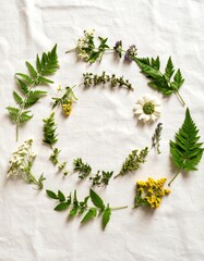 A beautiful arrangement of various herbs and flowers in a circular pattern on a light background.