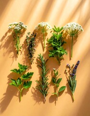 A vibrant arrangement of fresh herbs sunlight illuminates the natural beauty of each herb against a warm backdrop.