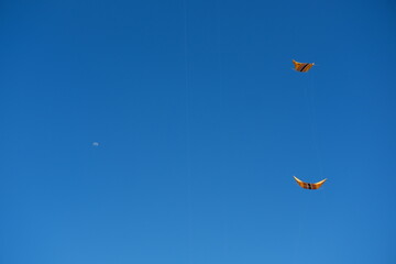 Colorful Kites Flying in Bright Blue Sky